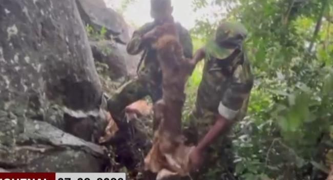 Foreign Intel Led to Discovery of Rocket Launchers